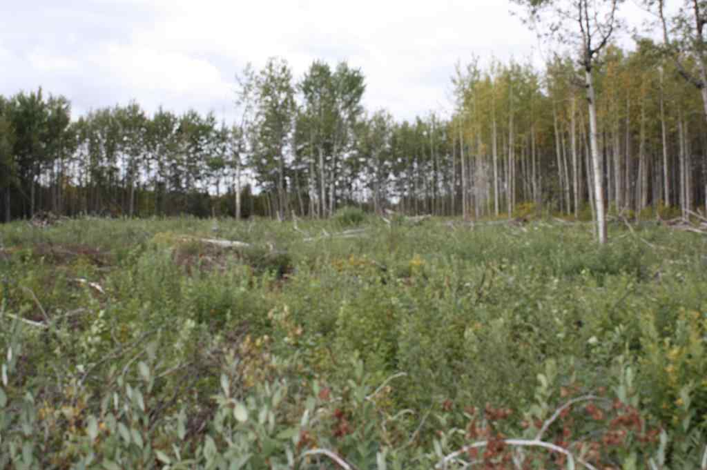MLS® A2224152 - 110 67324 MISSION Road  in Lac La Biche Lac La Biche, Land