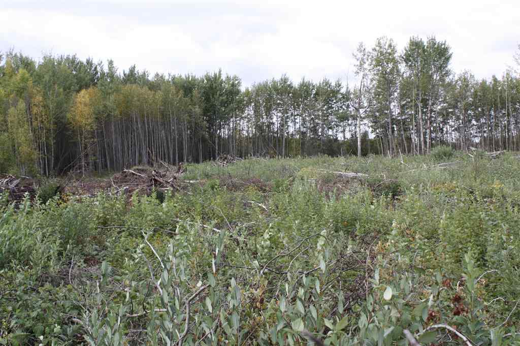 MLS® A2224152 - 110 67324 MISSION Road  in Lac La Biche Lac La Biche, Land