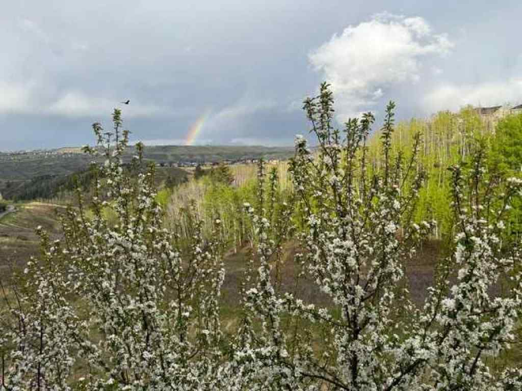 MLS® A2224166 - 18 Ridge View Place  in River Song Cochrane, Residential