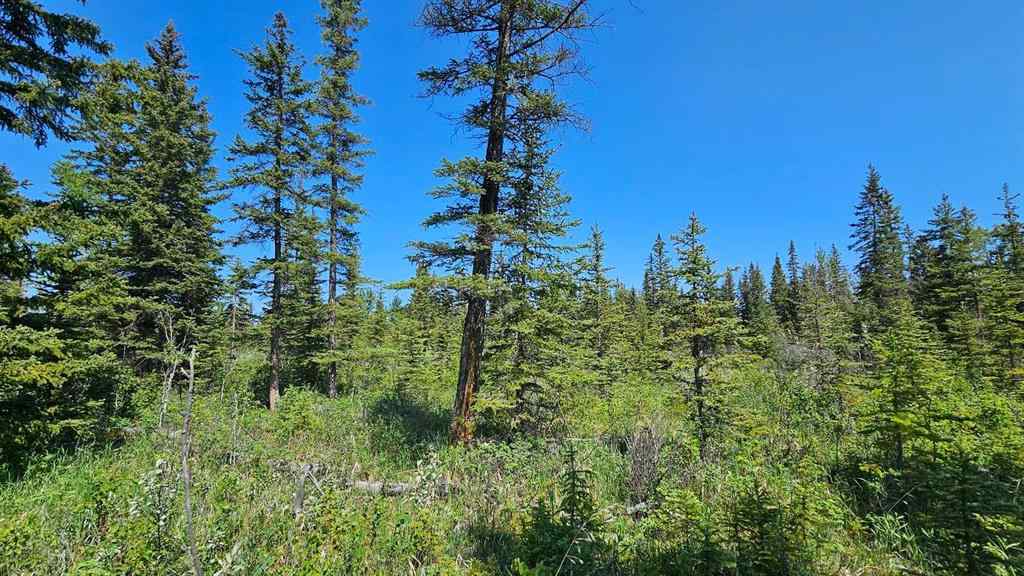 MLS® A2224204 - Unit #12 34364 Range Road 42   in NONE Rural Mountain View County, Land