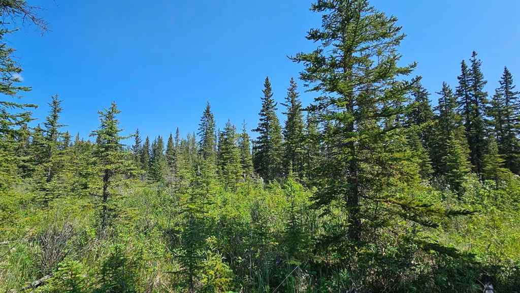MLS® A2224204 - Unit #12 34364 Range Road 42   in NONE Rural Mountain View County, Land