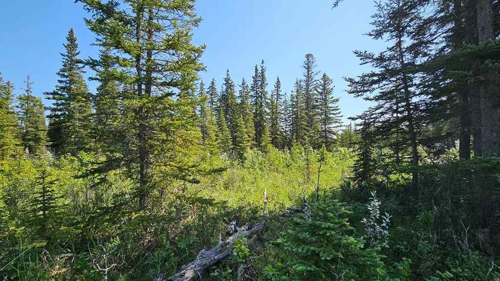 MLS® A2224204 - Unit #12 34364 Range Road 42   in NONE Rural Mountain View County, Land
