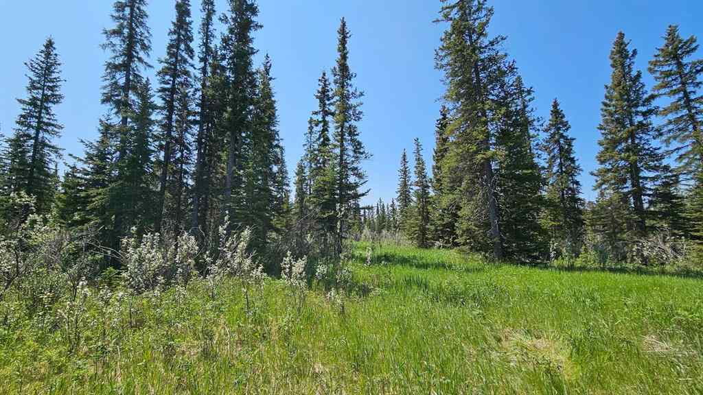 MLS® A2224208 - Unit #19 34364 Range Road 42   in NONE Rural Mountain View County, Land