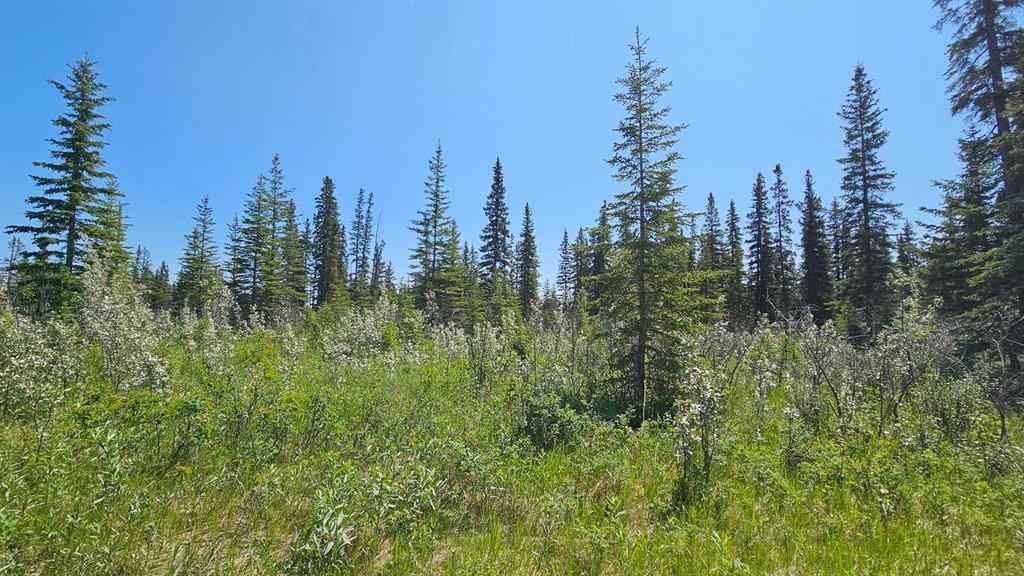 MLS® A2224208 - Unit #19 34364 Range Road 42   in NONE Rural Mountain View County, Land