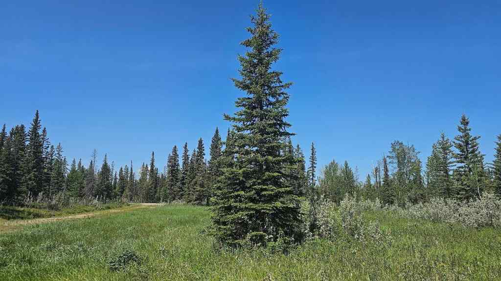 MLS® A2224213 - Unit #20 34364 Range Road 42   in NONE Rural Mountain View County, Land