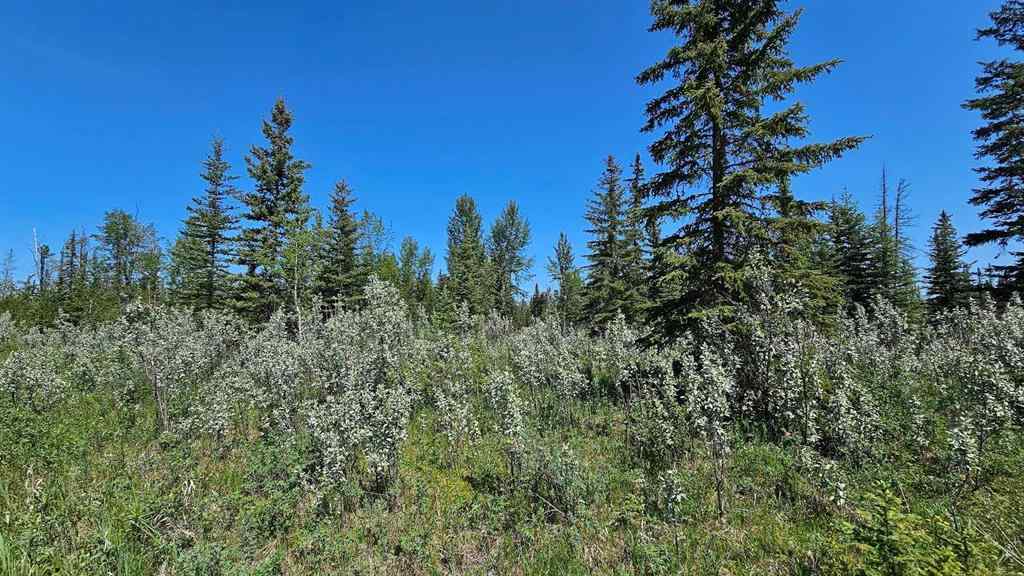 MLS® A2224213 - Unit #20 34364 Range Road 42   in NONE Rural Mountain View County, Land