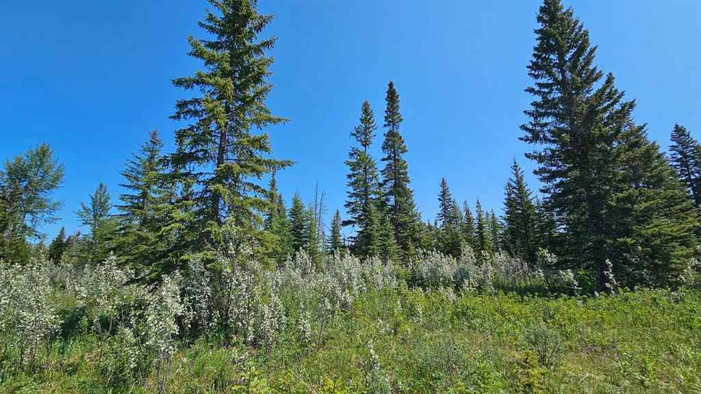 MLS® A2224213 - Unit #20 34364 Range Road 42   in NONE Rural Mountain View County, Land