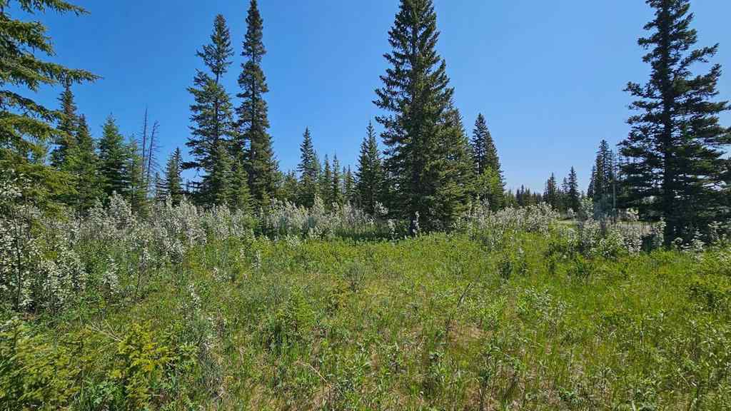MLS® A2224213 - Unit #20 34364 Range Road 42   in NONE Rural Mountain View County, Land