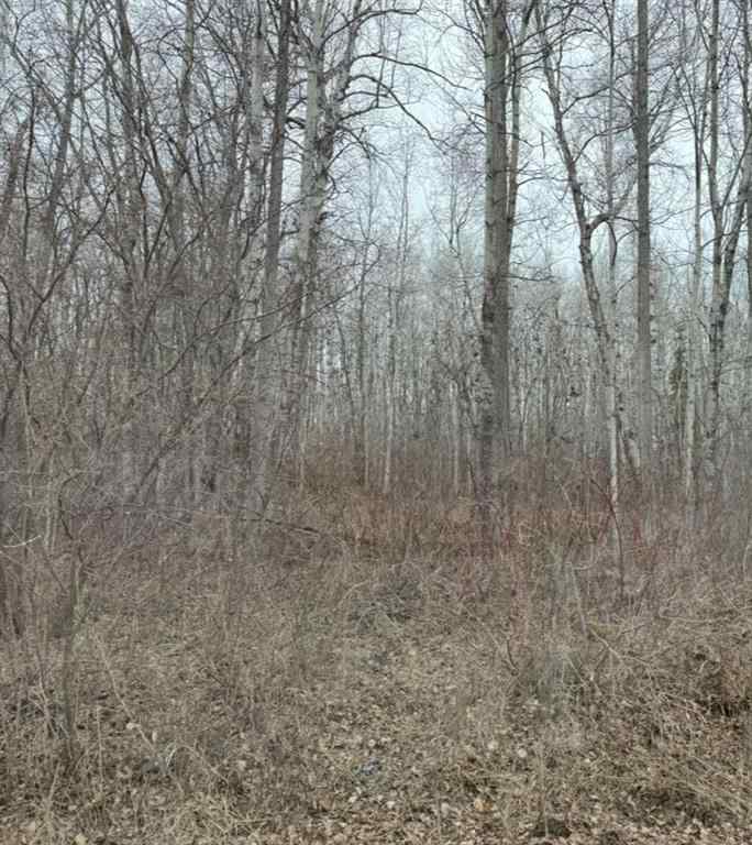 MLS® A2224255 - lot 6 Baptiste drive   in NONE West Baptiste, Land