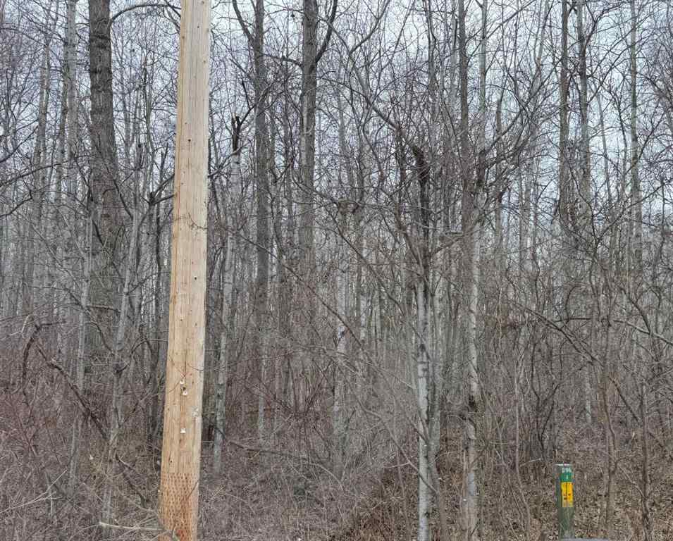 MLS® A2224255 - lot 6 Baptiste drive   in NONE West Baptiste, Land