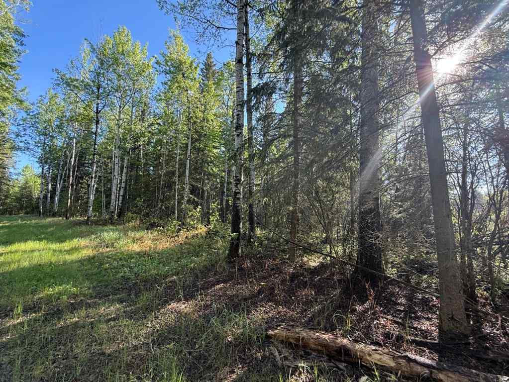 MLS® A2224431 - Township road 640   in Perryvale Perryvale, Land