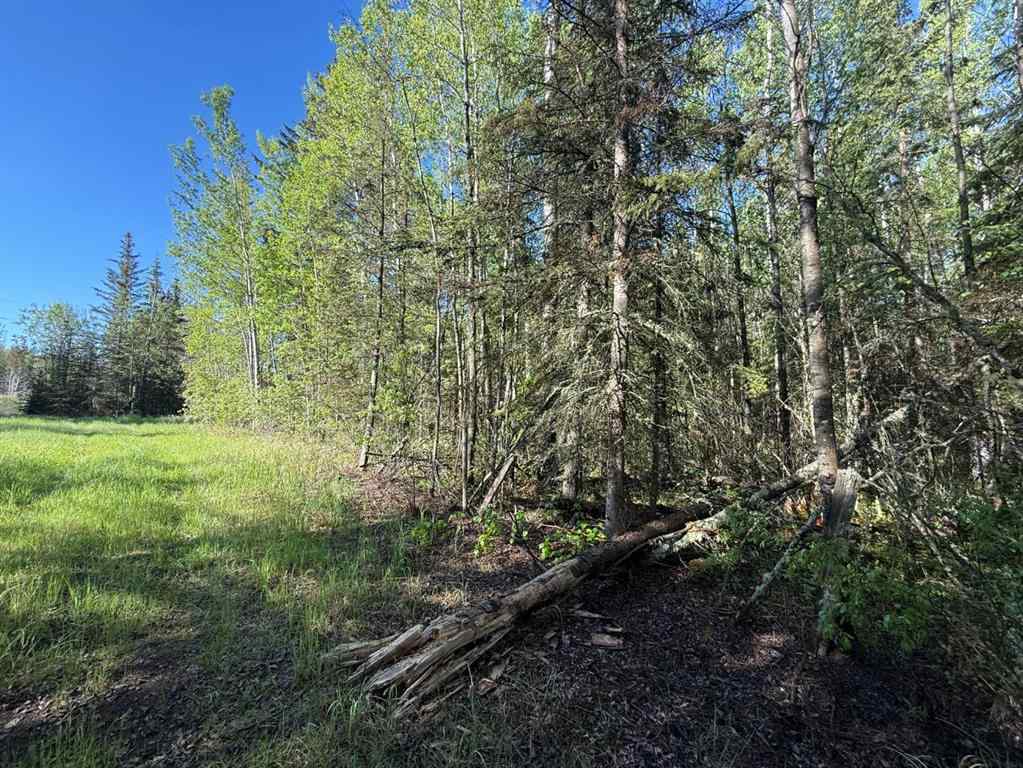 MLS® A2224431 - Township road 640   in Perryvale Perryvale, Land