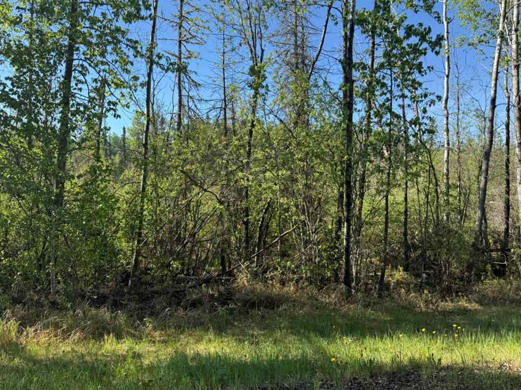 MLS® A2224431 - Township road 640   in Perryvale Perryvale, Land
