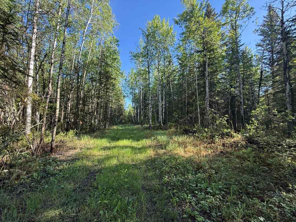 MLS® A2224431 - Township road 640   in Perryvale Perryvale, Land