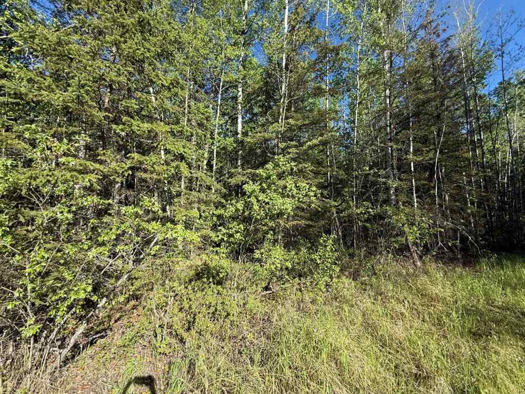 MLS® A2224431 - Township road 640   in Perryvale Perryvale, Land