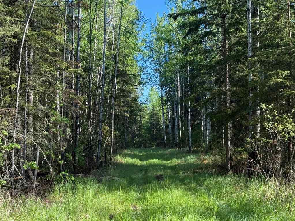 MLS® A2224431 - Township road 640   in Perryvale Perryvale, Land