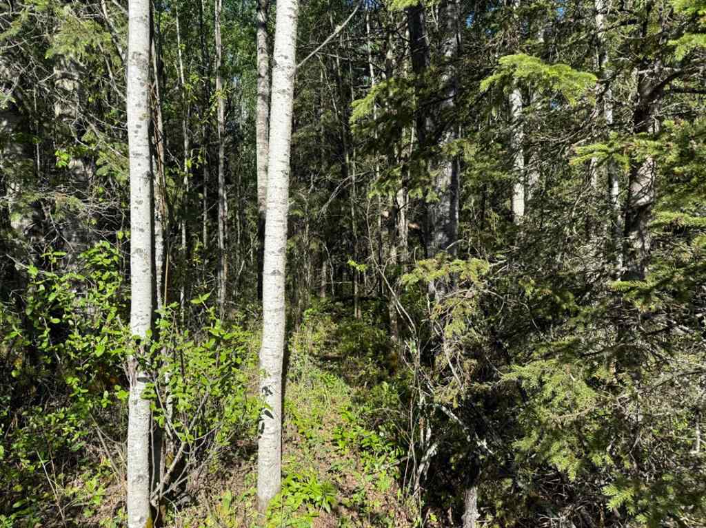 MLS® A2224431 - Township road 640   in Perryvale Perryvale, Land