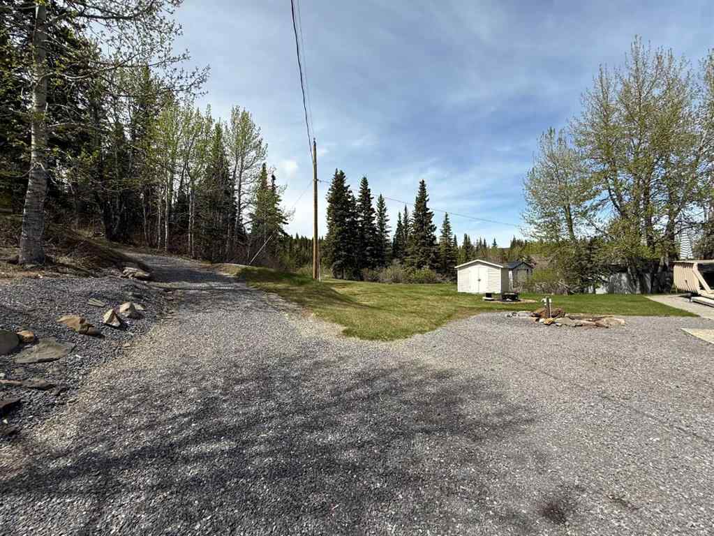 MLS® A2224505 - 4924 51 Street  in Cadomin Cadomin, Residential