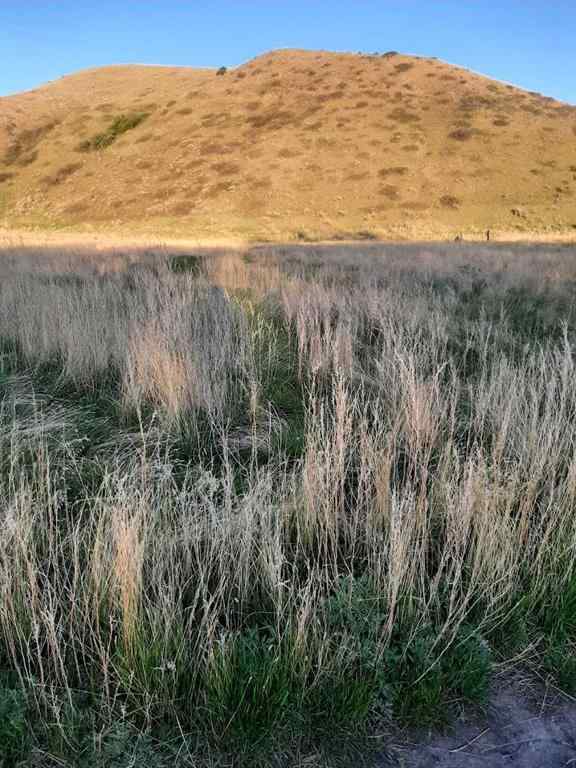 MLS® A2224614 - 701 47th Avenue N in Royal View Lethbridge, Land