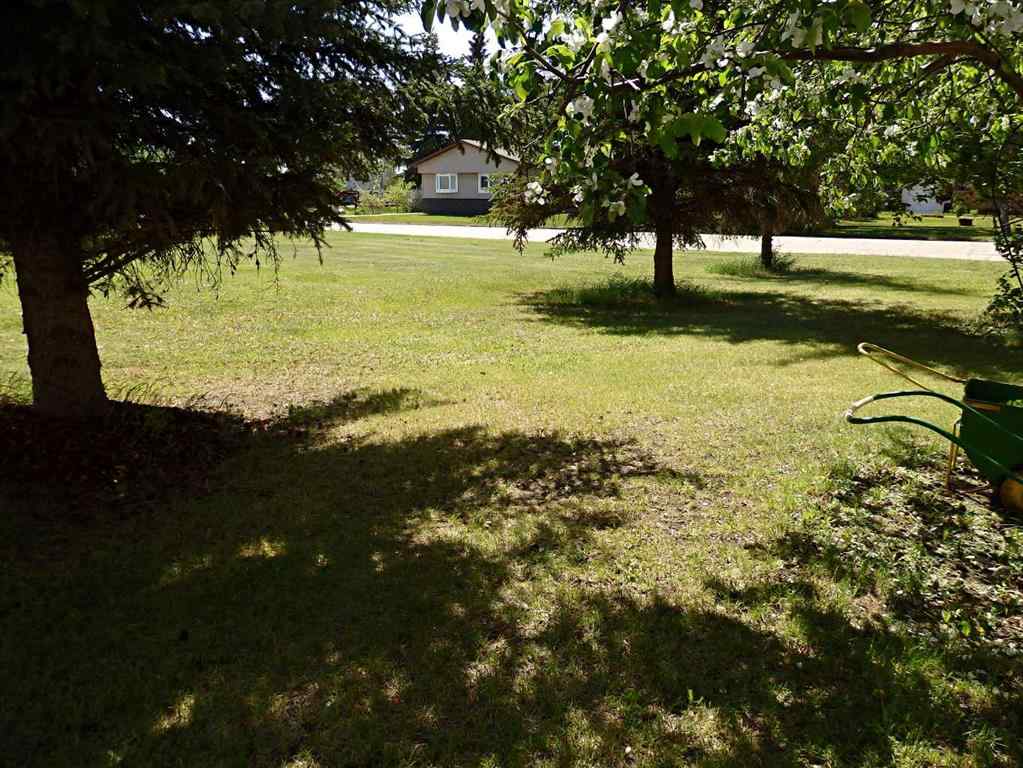 MLS® A2224625 - 5023 47 Street  in Mannville Mannville, Residential
