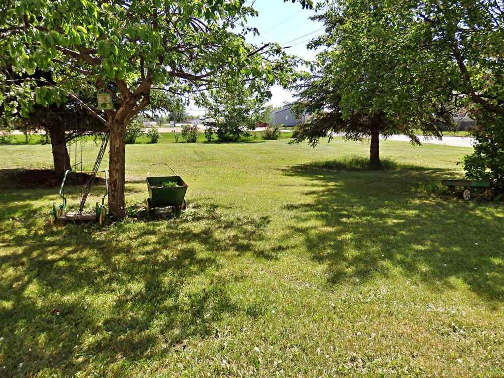 MLS® A2224625 - 5023 47 Street  in Mannville Mannville, Residential