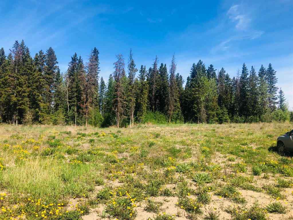 MLS® A2224783 - 4802 47 Avenue  in NONE Fort Vermilion, Land
