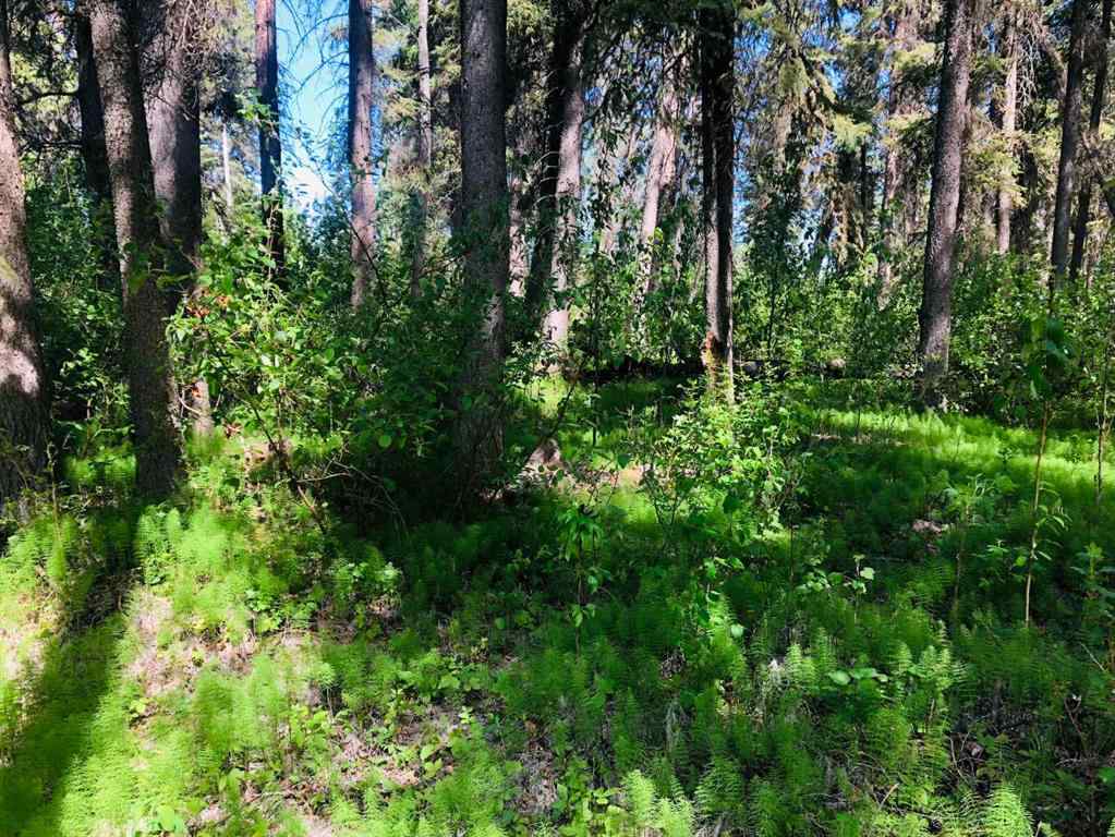 MLS® A2224783 - 4802 47 Avenue  in NONE Fort Vermilion, Land