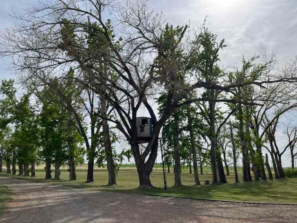 MLS® A2225006 - 155064 TWP 110   in NONE Rural Taber, M.D. of, Residential