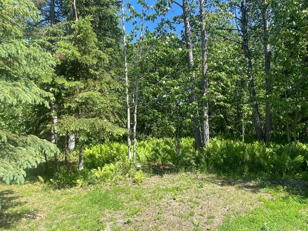 MLS® A2225809 - Lot 100 Willow Drive   in NONE Grouard, Land