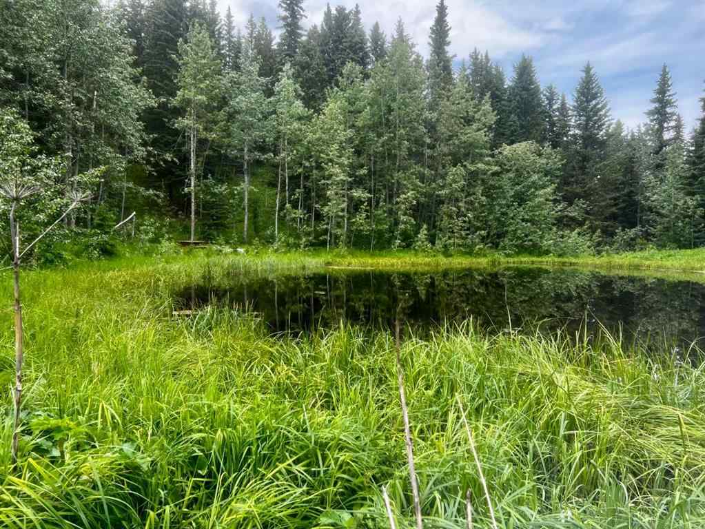 MLS® A2225862 - 37 Aspen Creek Drive  in Aspen Creek Estates Rural Foothills County, Residential