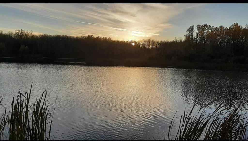MLS® A2226310 - 4610 Fourth Street  in Boyle Boyle, Land
