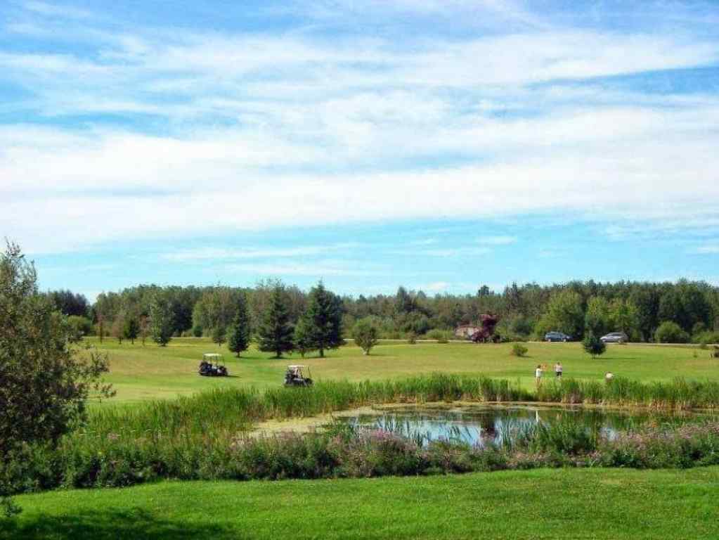 MLS® A2226310 - 4610 Fourth Street  in Boyle Boyle, Land