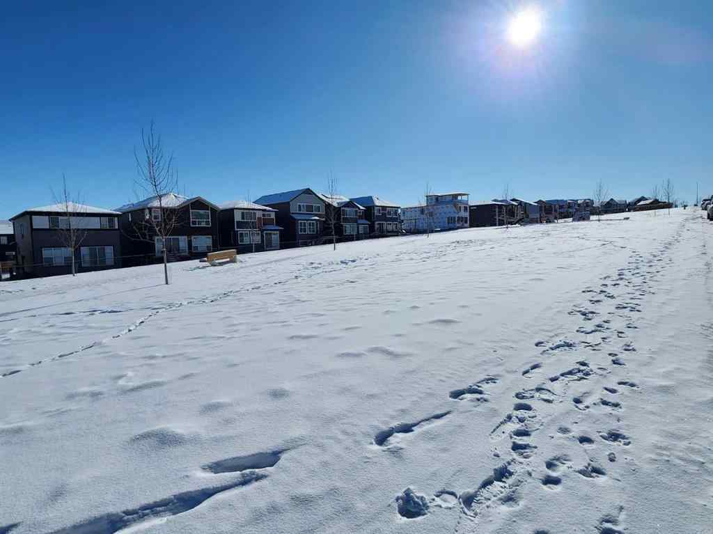 MLS® A2226472 - 99 Edith Passage NW in Glacier Ridge Calgary, Residential