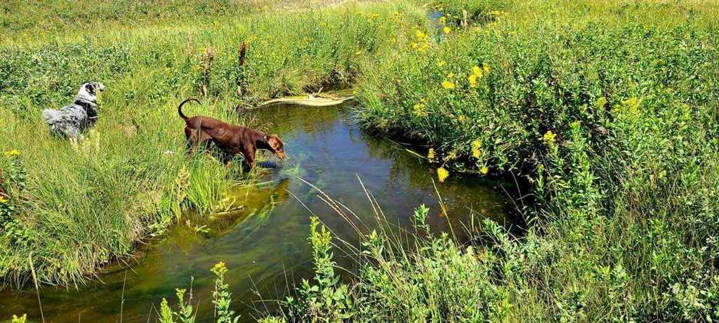 MLS® A2226490 - 241054 Range Road 260   in NONE Rural Wheatland County, Residential