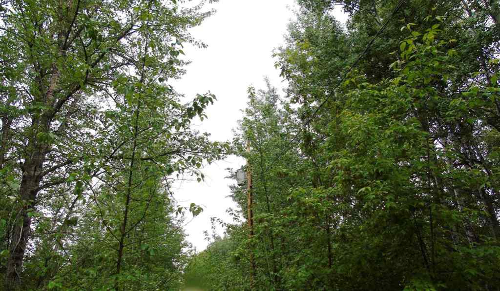 MLS® A2226730 -  Township Road 731A   in NONE Rural Big Lakes County, Land