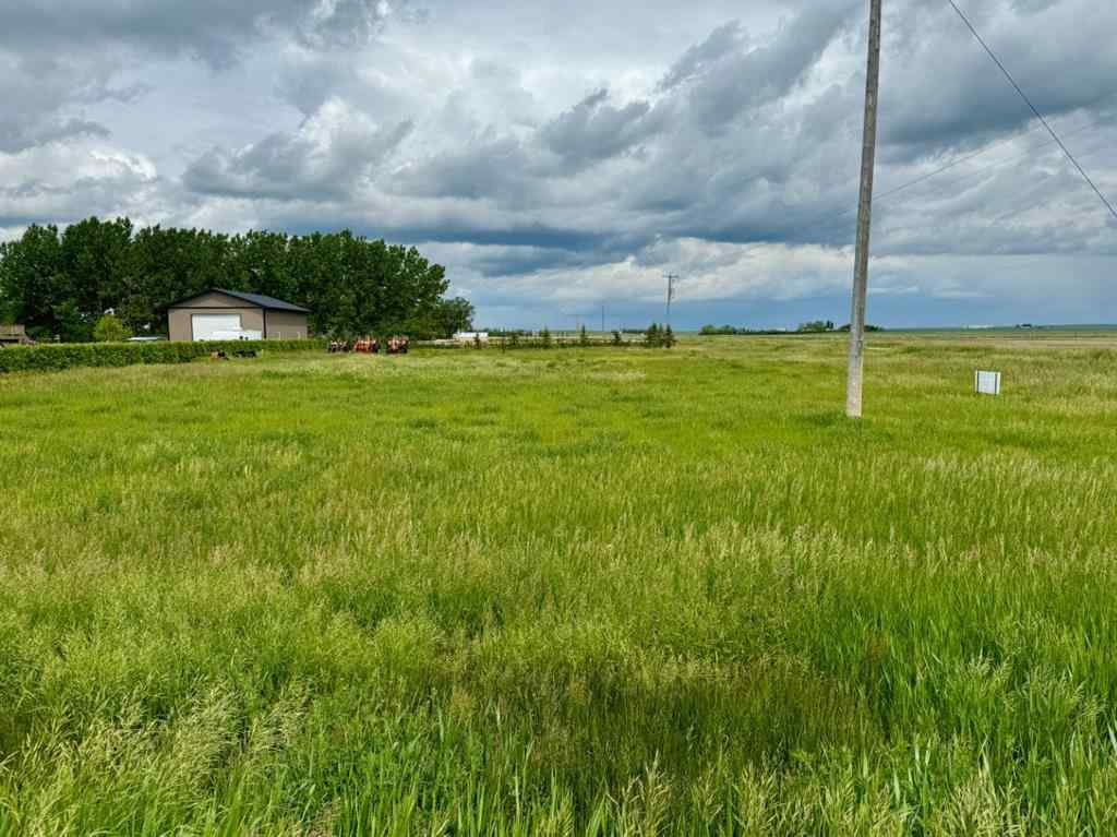 MLS® A2227027 - on 1  St W   in NONE Orton, Land