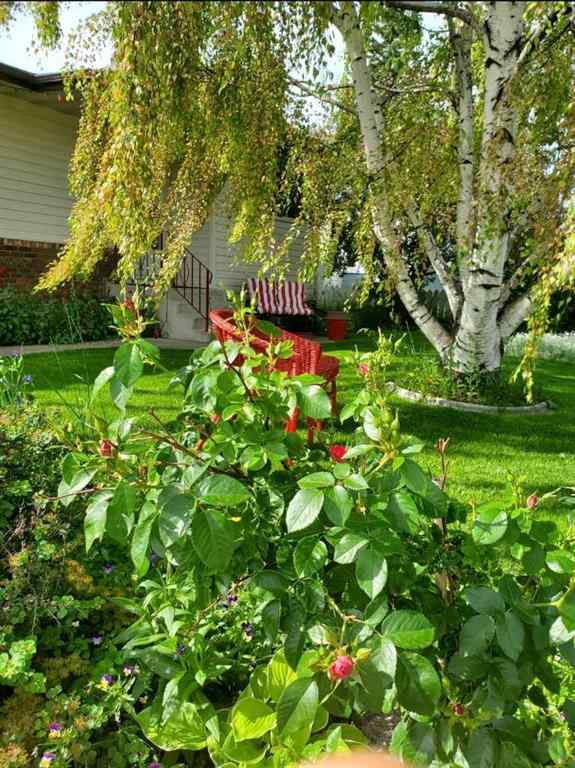 MLS® A2227554 - 1105 Ross Street  in NONE Crossfield, Residential