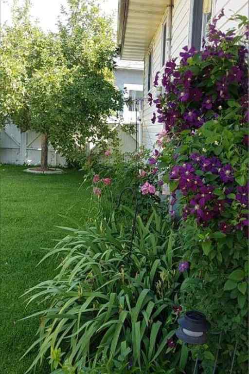 MLS® A2227554 - 1105 Ross Street  in NONE Crossfield, Residential