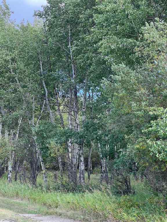 MLS® A2227734 - Portion of NE 2 74 9 W6 & NW 2 74 9 W6   in NONE La Glace, Agri-Business