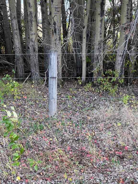 MLS® A2227734 - Portion of NE 2 74 9 W6 & NW 2 74 9 W6   in NONE La Glace, Agri-Business