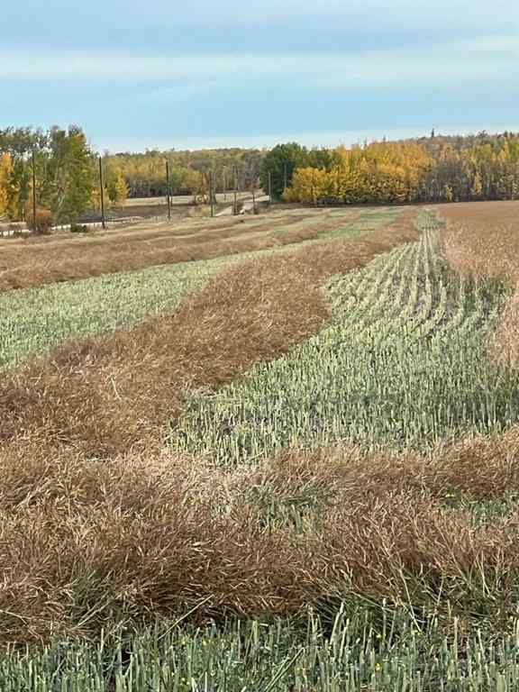 MLS® A2227734 - Portion of NE 2 74 9 W6 & NW 2 74 9 W6   in NONE La Glace, Agri-Business