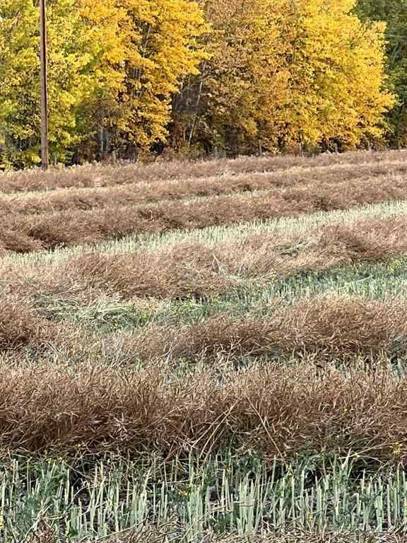 MLS® A2227734 - Portion of NE 2 74 9 W6 & NW 2 74 9 W6   in NONE La Glace, Agri-Business