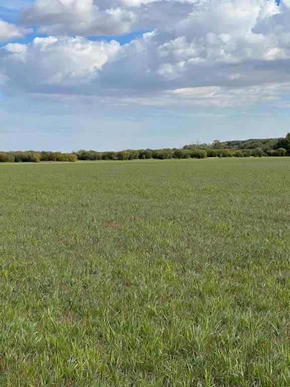 MLS® A2227734 - Portion of NE 2 74 9 W6 & NW 2 74 9 W6   in NONE La Glace, Agri-Business
