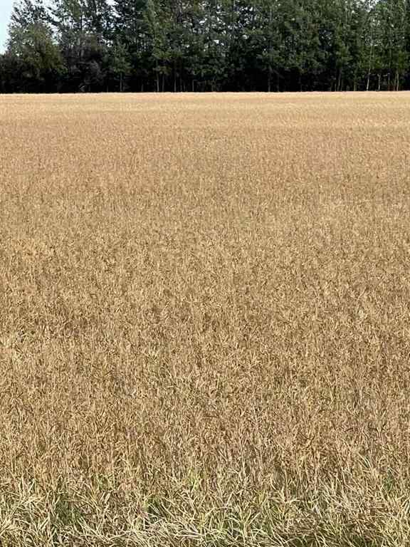 MLS® A2227734 - Portion of NE 2 74 9 W6 & NW 2 74 9 W6   in NONE La Glace, Agri-Business