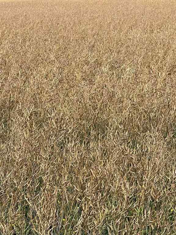 MLS® A2227734 - Portion of NE 2 74 9 W6 & NW 2 74 9 W6   in NONE La Glace, Agri-Business