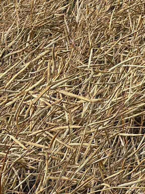 MLS® A2227734 - Portion of NE 2 74 9 W6 & NW 2 74 9 W6   in NONE La Glace, Agri-Business