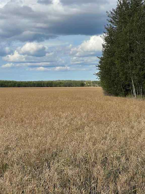 MLS® A2227734 - Portion of NE 2 74 9 W6 & NW 2 74 9 W6   in NONE La Glace, Agri-Business