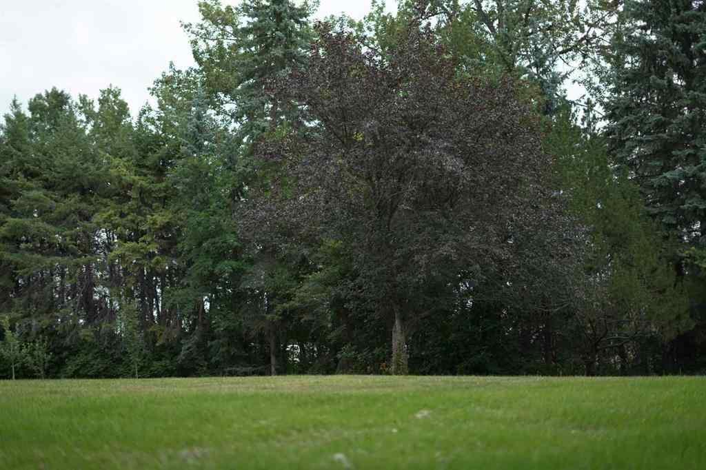 MLS® A2227759 - 20 Cronquist Close  in Westlake Red Deer, Land