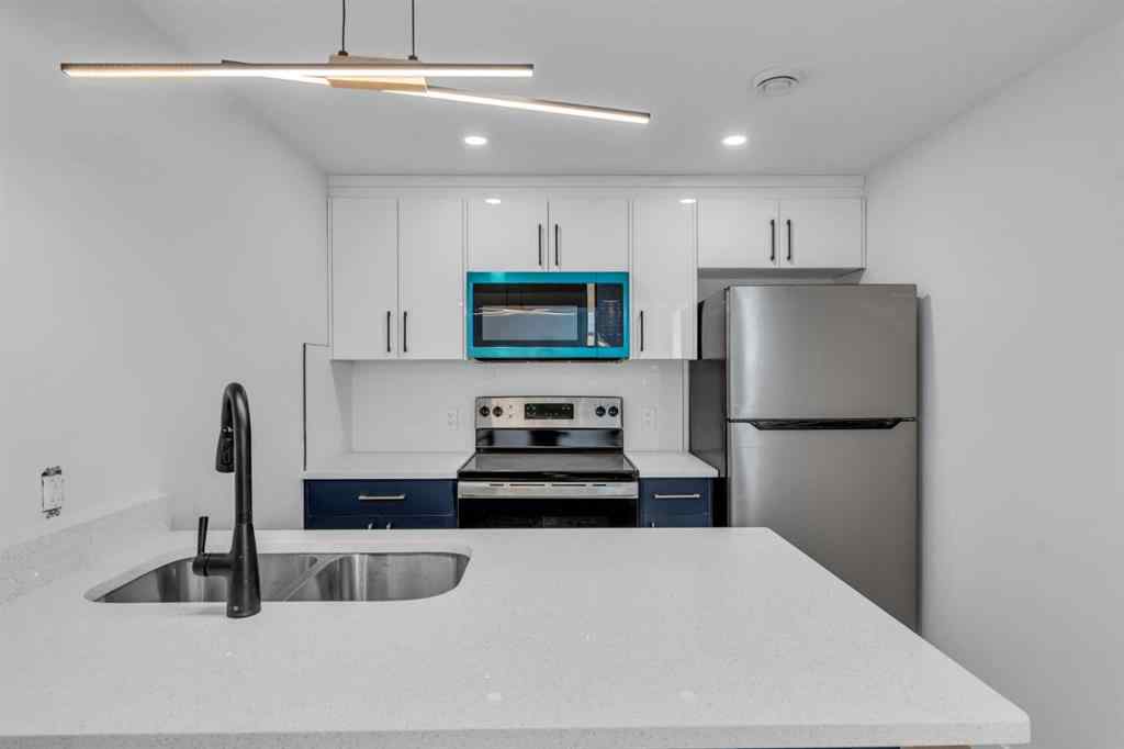 MLS® A2228548 - 236 Ogden Crescent SE in Ogden Calgary, Residential