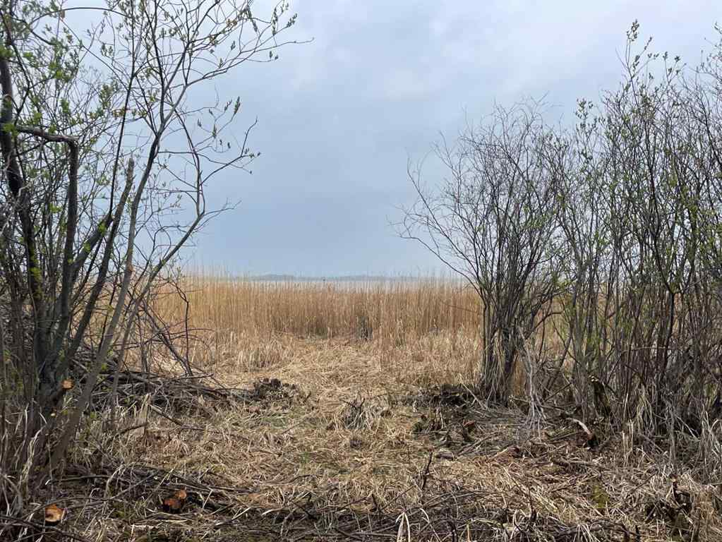 MLS® A2228828 - Lot 9 Block 3 Summerhaven   in Summerhaven Rural Wetaskiwin No. 10, County of, Land